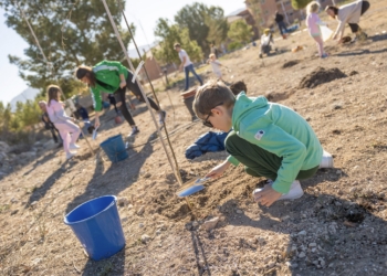 L’Alfàs celebró el Día del Árbol con una jornada de reforestación