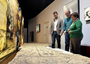 El Museo Dámaso Navarro estrena su nueva exposición temporal “La huella de Roma en Petrer”