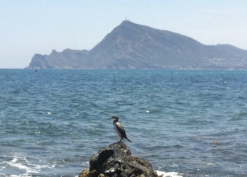 L’Alfàs y Altea solicitan con urgencia que se reúna la Junta Rectora del Parc Natural