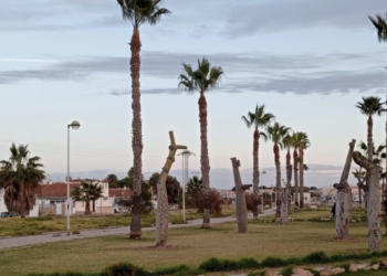 24 de los árboles que rodean el parque de las Naciones han sido trasplantados junto a la Vía Verde