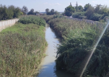 Los días de lluvia en la cuenca del río Segura se redujeron un 14% entre 1987 y 2021