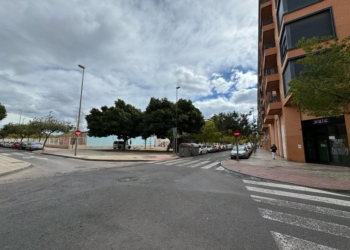 San Vicente inicia esta semana la renovación de 2.500 metros cuadrados de zonas verdes situadas en la avenida Sevilla