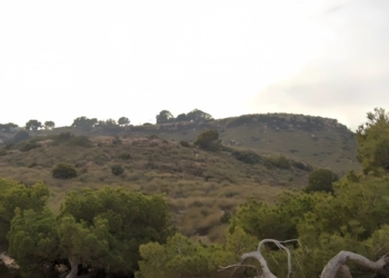 Los habitantes de los viejos montes