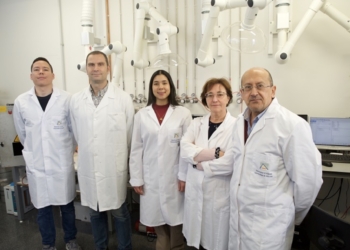 La UA participa en un proyecto para generar, almacenar y distribuir hidrógeno verde a partir de residuos de biomasa