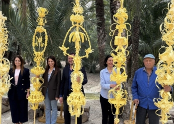 Elche envía las palmas blancas al Papa y los Reyes de España entre otras autoridades