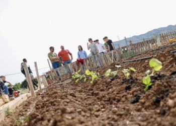 Alumnado de Jardinería del IES L’Arabí realiza las prácticas en los huertos urbanos municipales