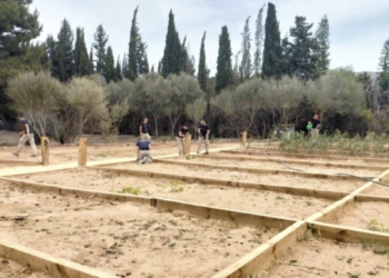 Benidorm contratará y formará durante un año en jardinería y educación ambiental a 20 jóvenes