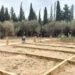 Benidorm contratará y formará durante un año en jardinería y educación ambiental a 20 jóvenes