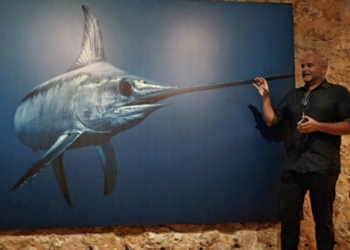 Impresionante muestra del fotógrafo submarino Ángel Fitor en el Museo del Mar de Santa Pola