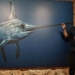 Impresionante muestra del fotógrafo submarino Ángel Fitor en el Museo del Mar de Santa Pola