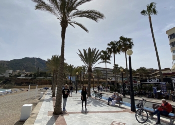 Playas y Servicios Técnicos han realizado trabajos de acondicionamiento de la Playa del Albir