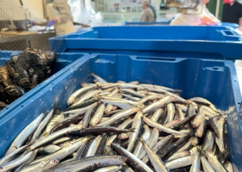 Donde los platos saben a Mediterráneo