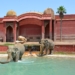 Explora la vida salvaje de Terra Natura