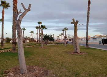 Torrevieja acicala sus parques y jardines