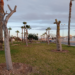 Torrevieja acicala sus parques y jardines
