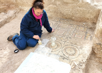 «Una mala restauración puede arruinar para siempre una obra de arte»