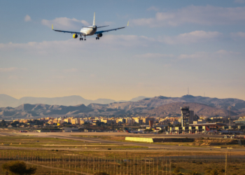 Un mundo a golpe de aleteos autóctonos