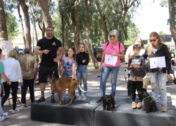 Éxito de participación del Festival de Adopción celebrado este domingo