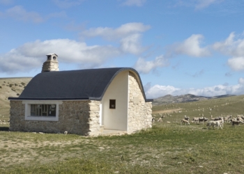 Ungulados silvestres y el pastoreo tradicional trashumante se complementan para mantener los ecosistemas