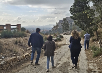 Medio Ambiente anuncia el inicio de la restauración y adecuación del mirador del Palmeral de San Antón