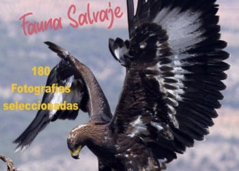 180 fotografías mostrarán la fauna de las montañas del interior de la provincia