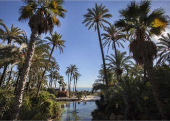 Entre ficus y buganvillas junto al mar