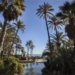 Entre ficus y buganvillas junto al mar