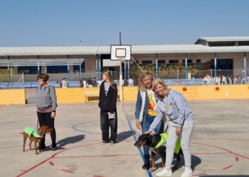 El Ayuntamiento de Torrevieja fomenta la adopción de mascotas