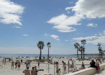 Torrevieja renueva las seis banderas azules de sus playas