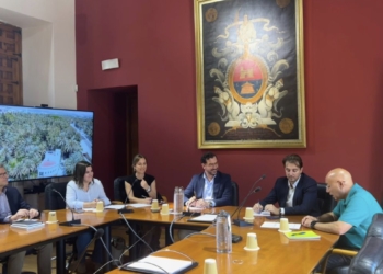 Elche y Alicante avanzan en la tarjeta de transporte única