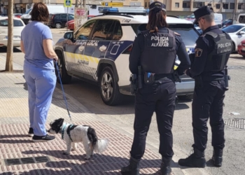 Alfafar impulsa el censo canino como medida de protección y de limpieza vial