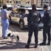 Alfafar impulsa el censo canino como medida de protección y de limpieza vial