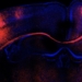 Identifican la implicación de un tipo minoritario de neuronas en el desarrollo del cerebro