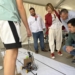 Alcoy vuelve a participar en la feria Alcoibot con el ‘Kit Ciudadano’