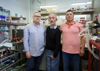 Un grupo de investigación de la UA desarrolla un dispositivo para desalar productos alimentarios mediante electrodiálisis