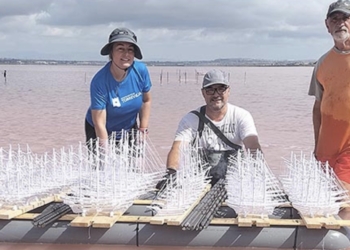La Artesanía Salinera se mostrará a los alumnos del Colegio Acequión