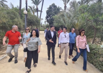 La renovación de El Palmeral refuerza su condición de “pulmón y reclamo de Alicante”