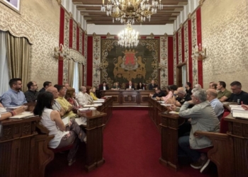 Unos 800 efectivos al día conformarán el dispositivo de seguridad para las Hogueras