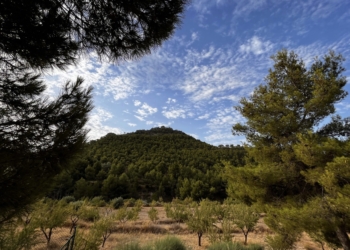 La Generalitat Valenciana inicia el procedimiento para aceptar el terreno municipal en Caprala