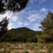 La Generalitat Valenciana inicia el procedimiento para aceptar el terreno municipal en Caprala