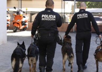 Un detenido por un presunto delito contra la salud pública en Benidorm