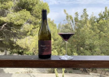 Más de 150 referencias de vino en “La Nit del Vi” de La Nucía