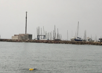 El gozo de las aguas abiertas