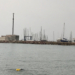 El gozo de las aguas abiertas
