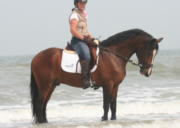 «Mi gran ilusión es poder representar a España en unos Juegos»