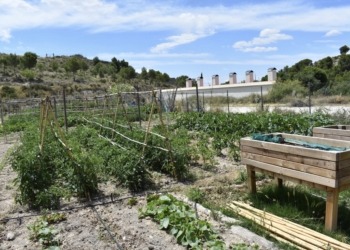 Petrer ofrece 31 parcelas en la Finca Ferrusa para la puesta en marcha de los huertos populares