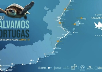 Xàbia se suma a la campaña “Tortugas en el Mediterráneo”
