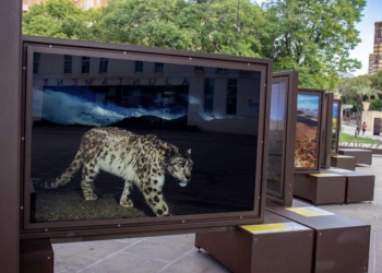 Benidorm expone ‘De Polo a Polo’, un viaje fotográfico por los últimos paraísos naturales del planeta