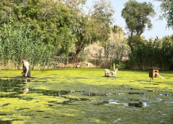 Hidraqua invierte cerca de dos millones de m3 de agua regenerada para uso ambiental en la Comunitat Valenciana