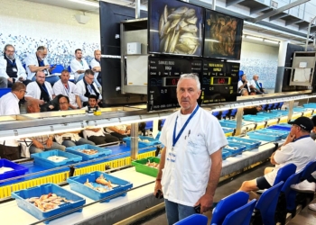 «Hoy por hoy es imprescindible para nosotros el sistema de venta online»